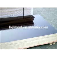 Black Film Faced Plywood Exterior Size 1220x2440x18mm Bwp Marine Plywood for Outdoors