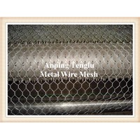 Hexagonal Wire Netting/Hex Mesh/ Garden Mesh