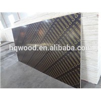 Logo Film Faced Plywood in Plywoods Construction Plywood Material Concrete Siding