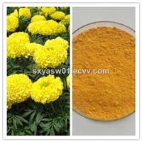 Natural Marigold Extract with Lutein & Zeaxanthin