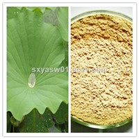 Natural Lotus Leaf Extract 2% 98% Nuciferine