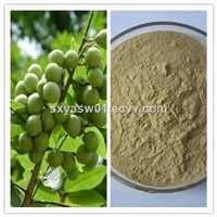 Natural Sapindus Extract Lower Blood Pressure 70% Saponin