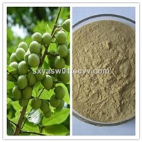 Natural Antibacterial Sterilization 40% 70% Saponin Sapindus Extract