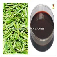 Natural Oil Soluble Tea Polyphenols