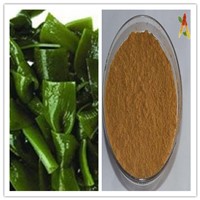 Natural Fucoxanthin Weight Loss 10% Kelp Extract