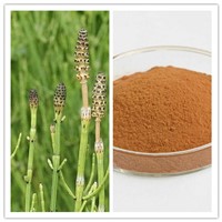 Natural Plant Extract Organic Silica 7% 10% Horsetail Extract