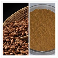 Natural Cocoa Extract 10% 20% Theobromine
