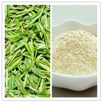 Natural Tea Saponin Tea Seed Extract