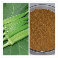 Natural Anti Fatigue Sex Improvement Okra Extract