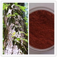 Natural Skin Care Proanthocyanidin Pine Bark Extract
