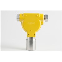 Wall-Mounted Fixed Toxic Gas Detector with CITY Sensor