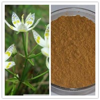 Natural Swertia Extract with 30% 40% Swertiamarin