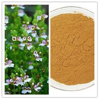 Natural Improve Eyesight 4: 1 10: 1 Eyebright Extract