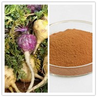 Natural Enhance Stamina Maca Root Extract 0.6%-3% Macamide