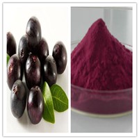 Natural Strong Antioxidant 4: 1 10: 1 Acai Berry Extract