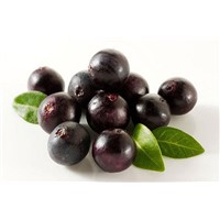 Natural Plant Extract Variety of Natural Vitamin Acai Berry Extract