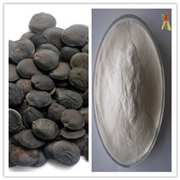 Natural Plant Extract Improve in Mood 5 HTP Griffonia Seed Extract