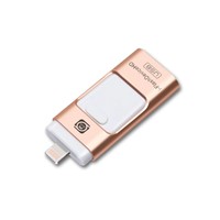 Fingerprint & Password & Gesture Lock MFI Approval Secure USB Flash Driver for iPhone, iPad & PC
