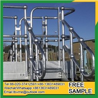 Tamworth Handrail Stanchions Ball Joint Railing for Industries