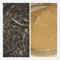 Natural CAS No 529-59-9 Dyewoods Glucoside 98% Genistin