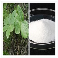 CAS No 518-28-5 Natural 90% 98% Podophyllotoxin