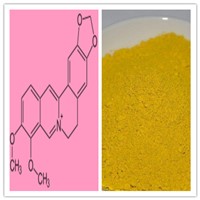 Natural Berberine Hydrochloride CP2010 Barberry Extract