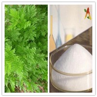 Natural Sweet Wormwood Extract 99% Artemisinin