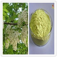 Natural CAS No 153-18-4 Sophora Japonica Extract 98% DAB 95% NF11 Rutin