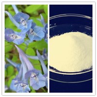 Natural Tetrahydropalmatine CAS No 10097-84-4 Corydalis Yanhusuo Extract