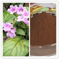 Natural 93% Indirubin Indigofera Tinctoria L Extract