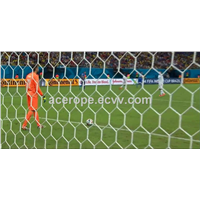 Youth Soccer Goal Net-4mm Hexagonal Mesh