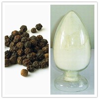 Natural Piperine Piper Nigrum / Black Pepper Extract