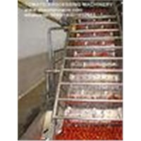 China Professional Supplier Of Tomato Paste Production Line/Tomato Sauce Making Machine/Tomato Processing