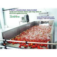 Surf Bubbling Washing Machine/Fruit Washer