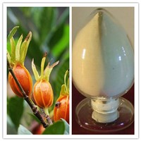 Natural Gardenia Extract 10% 98% Gardenoside / Geniposide CAS No 24512-63-8