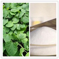 Natural 98% Sinomenine Hydrochloride CAS No 6080-33-7