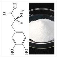 High Quality CAS No 59-92-7 99% L-Dopa / Levodopa