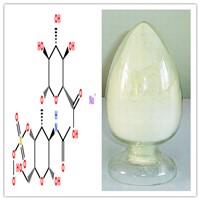 High Quality CAS No 9007-28-7 85% 90% 95% Chondroitin Sulphate