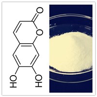 Natural 95% 98% Aesculetin Cichorigenin Esculetin CAS No 305-01-1