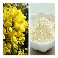 Natural 99% Cytisine CAS No 485-35-8