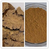 Natural 10: 1 20:1 Lovage Extract