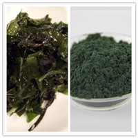 Natural High Quality Lose Weight Spirulina Powder