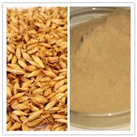 Natural High Quality Rich in Protein &amp;amp; Vitamin Barley Malt Extract Powder