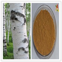 Natural 80% Betulin CAS No 473-98-3 from Birch Bark Extract