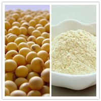 Natural Food Grade Soy Protein Isolate (CAS No. 9010-10-0)