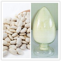 Natural CAS 85085-22-9 White Kidney Bean Extract 1%-5% Phaseolin