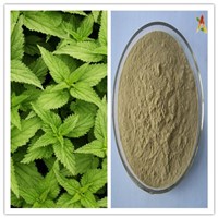 Natural Enhance Blood Circulation 10: 1 Nettle Root Extract