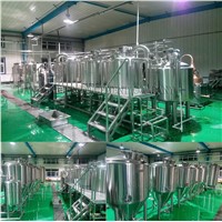 500L Customized Beer Brewery Equipment