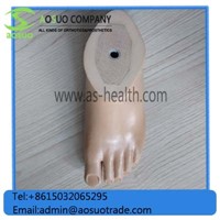 Sach Foot Orthopedic Implant Prosthetic Sach Foot