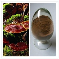 100% Natural Broken Cell Ganoderma Spore Powder